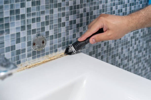 Best Bathroom Mold Remediation in Mission, TX